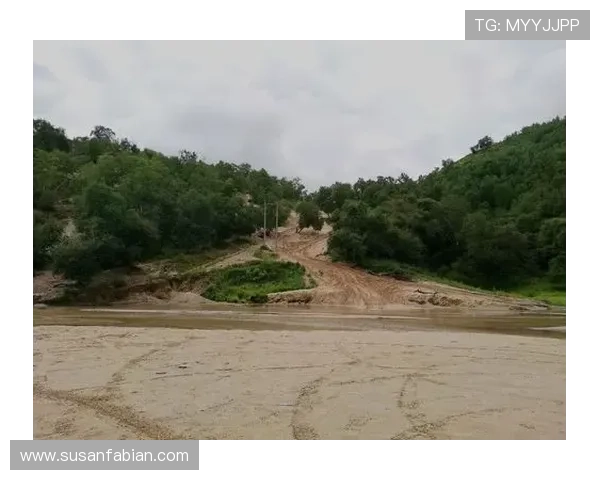 如何轻松获取BG大游真人登录线路,全面分析多种登录途径和注意事项 如何轻松获取BG大游真人登录线路,全面分析多种登录途径和注意事项