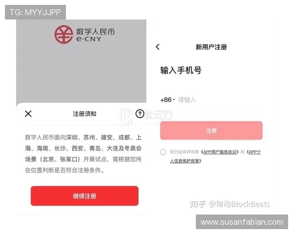 提升ag手机版登录线路安全性的有效措施，防止账号被封和信息泄露的关键技巧